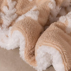Double-Layer Plush Blanket – Snowflake Sherpa Throw